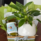 Scent & Grow Hamper