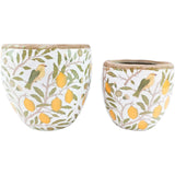 Vintage Lemon Ceramic Planter - Large