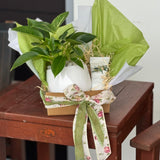 Botanical Signature Hamper