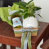 Scent & Grow Hamper