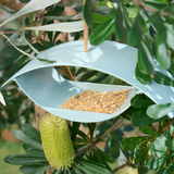 Bird House Retro Bamboo Green