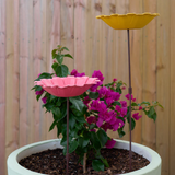 Bird Bath - Bamboo Pink