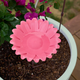 Bird Bath - Bamboo Pink