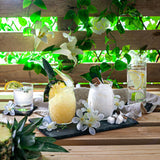 Pineapple Cocktail Glass - 440ml set of two