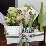 Plant Lover Hamper