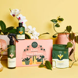 Love your plants | Essential Kit
