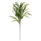 Stem Pine and Eucalypt