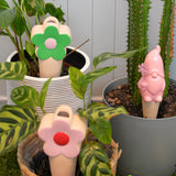Gnome Waterers