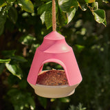 Bird House Pink