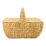 Picnic Basket - Water Hyacinth