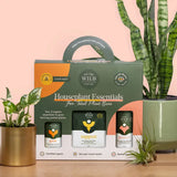 Houseplant Essentials | Gift Pack