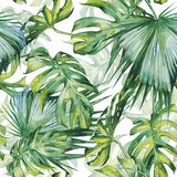 Tropical Napkin Pack