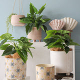 Terra Pin Stripe Planter